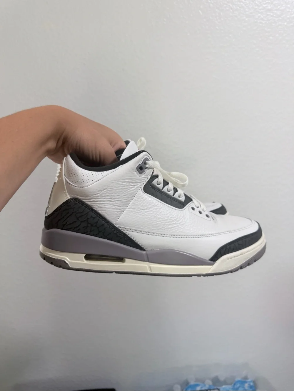 Jordan retro 3
